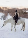 Vratna marama HORSE